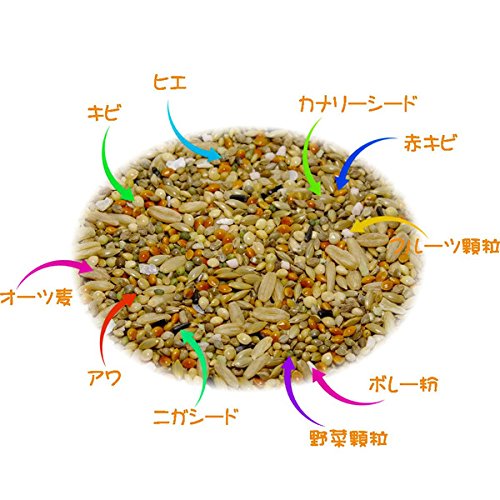 Amazon | 黒瀬ペットフード プロショップ専用 mania（マニア